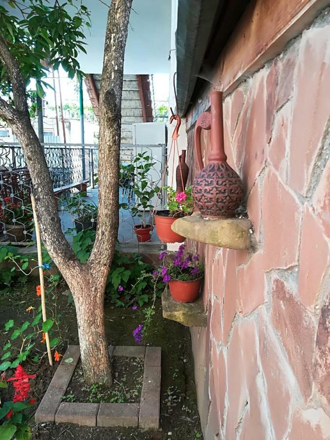 Runo Guest House Gagra Buitenkant foto