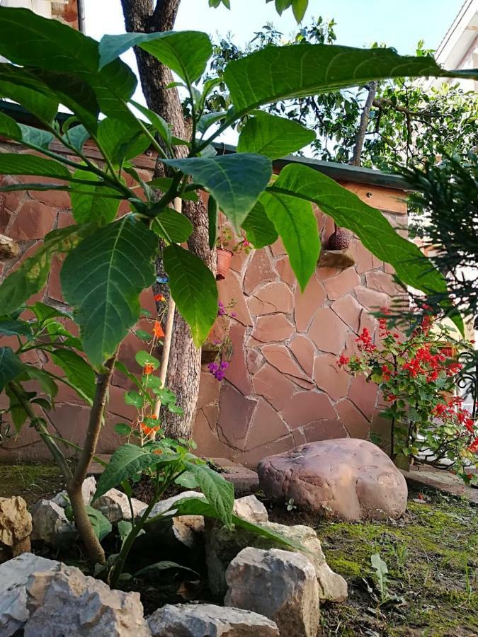Runo Guest House Gagra Buitenkant foto