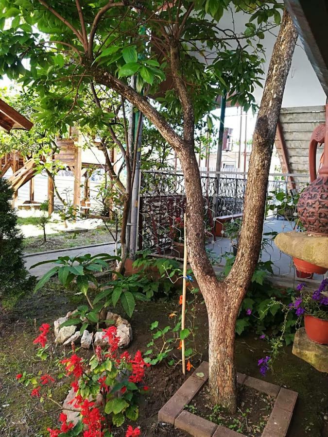 Runo Guest House Gagra Buitenkant foto